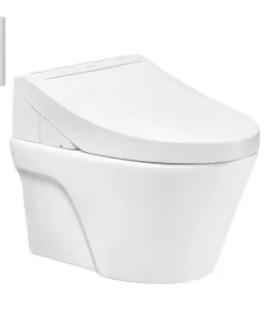 Bồn cầu treo tường CW822RA/WH172A/TCF24410AAA/MB170P#SS