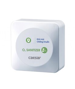 Máy tạo Ozon Caesar A610OZ cảm ứng dùng điện 220V