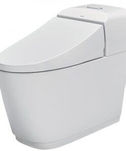 Bồn cầu Inax AC-1032VN (AC1032VN) - Xí bệt bàn cầu vệ sinh 1 khối