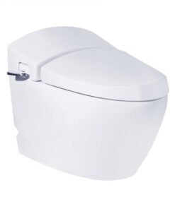 Bồn cầu COTTO C10037 - Xí bệt bàn cầu 1 khối