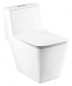 Bồn cầu COTTO C10327 xả nhấn xí bệt bàn cầu 1 khối thân vuông