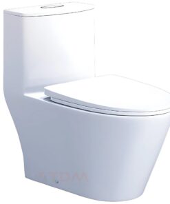 Bồn cầu Caesar C1363 (CD1363) xí bệt bàn cầu vệ sinh 1 khối