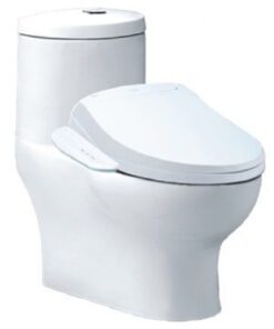 Bồn cầu điện tử Caesar C1375F/TAF400H nắp rửa thông minh