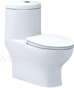 Bồn cầu Caesar C1375 xí bệt bàn cầu vệ sinh 1 khối - Tuấn Đức