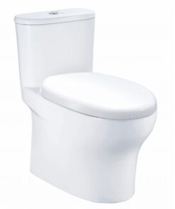 Bồn cầu Caesar C1394 (CD1394) - Xí bệt bàn cầu vệ sinh 1 khối