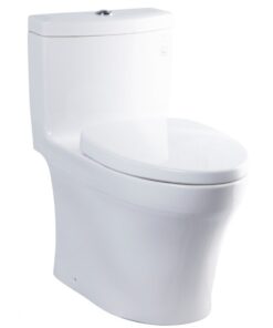 Bồn cầu TOTO MS889DRT3 (MS889DT3) - Xí bệt bàn cầu vệ sinh 1 khối