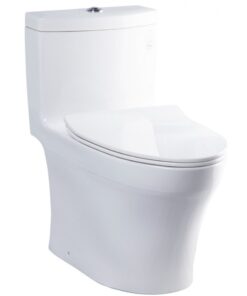 Bồn cầu TOTO MS889DRT8 (MS889DT8) xí bệt bàn cầu vệ sinh 1 khối C889DR + TC600VS