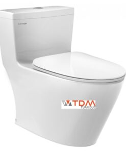 Bồn cầu Viglacera Platinum P.11.320 1 khối