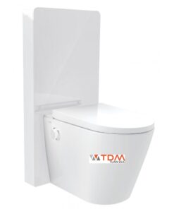 Bồn cầu điện tử đặt sàn Viglacera Platinum P.16.321 kính trắng