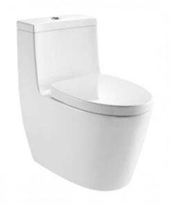 Bồn Cầu Moen SW3181C1 1 Khối - Xí bệt bàn cầu vệ sinh 1 khối