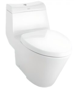 Bồn Cầu American Standard VF-2010 (VF2010) 1 Khối