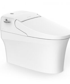 Bồn Cầu Điện Tử American Standard WP-5017 (WP5017) Aerozen G2